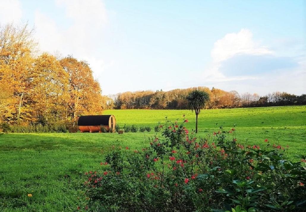 Tonneau Bulle Insolite, Vue Sur Vignoble Pouldergat Exteriér fotografie