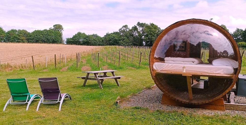 Tonneau Bulle Insolite, Vue Sur Vignoble Pouldergat Exteriér fotografie